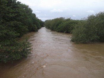 River Rheidol in full flood